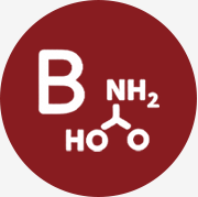 비타민 마늘 수액